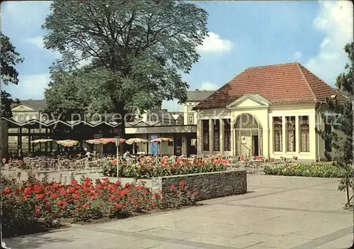 Dessau Rosslau Gasthaus Teehaeuschen Kat. Dessau Rosslau