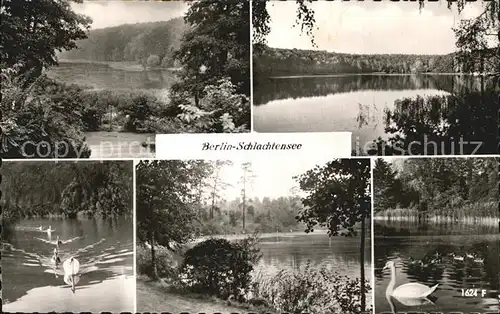 Schlachtensee Seepartien mit Schwaenen Kat. Berlin