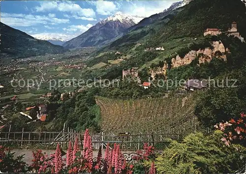 Dorf Tirol Schlossweg Promenade Schloss Brunnenweg Kat. Tirolo