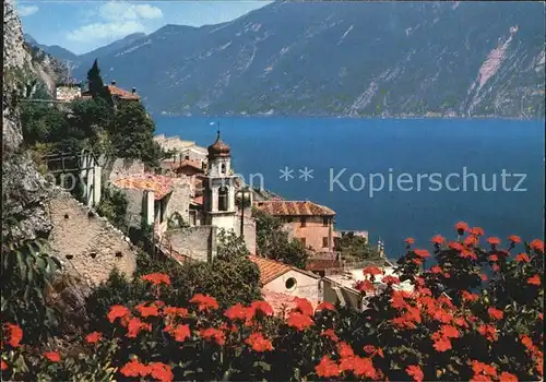 Limone del Garda Lago di Garda