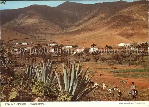 Fuerteventura Kanarische Inseln Vega de Rio Palmas Kat. 