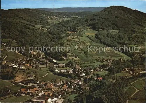 Sasbachwalden Fliegeraufnahme Kat. Sasbachwalden