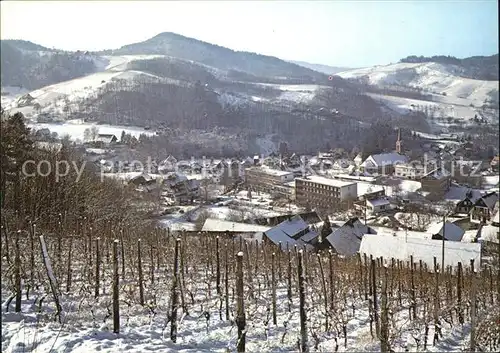 Sasbachwalden Panorama Kat. Sasbachwalden