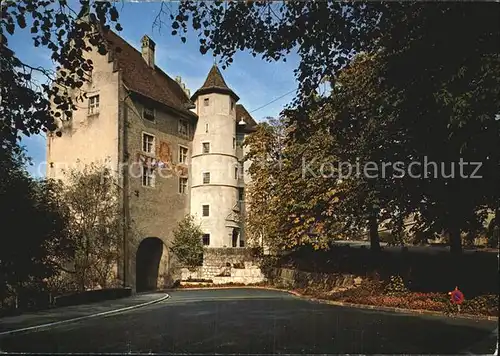 Baden AG Landvogteischloss Hist Museum Kat. Baden