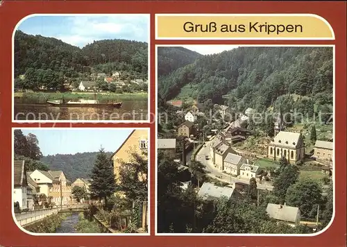 Krippen Bad Schandau Elbfaehre Krippenbach Blick vom Pueschelweg Kat. Bad Schandau