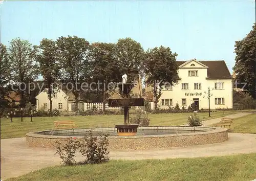 Falkenberg Elster Marktplatz Kat. Falkenberg Elster