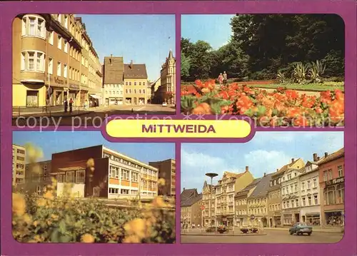 Mittweida Markt Schwanenteich Poliklinik Kat. Mittweida