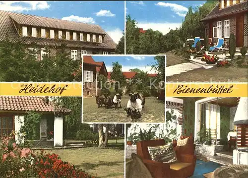 Bienenbuettel Privatpension Heidehof Kat. Bienenbuettel