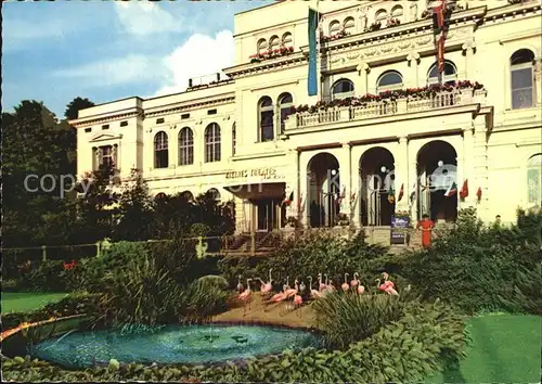 Frankfurt Main Flamingos am Gesellschaftshaus am Zoo Kat. Frankfurt am Main