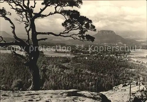 Gohrisch Blick vom Papststein Lilienstein Kat. Gohrisch