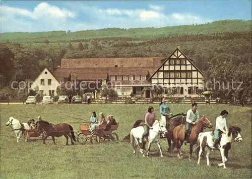 Ruedesheim Rhein Landgut Ebental Ponyhof Kat. Ruedesheim am Rhein