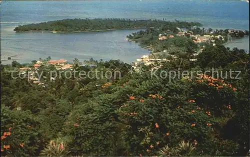 Port Antonio Harbour Panorama