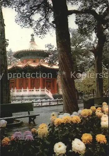 Peking Imperial Garden in the Palace Museum Kat. China