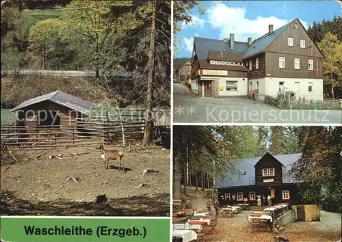 Waschleithe Tierpark Gaststaette Osterlamm Koehlerhuette Kat. Beierfeld Erzgebirge