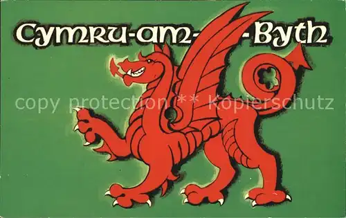 Wales Cymru am Byth Kat. Rotherham