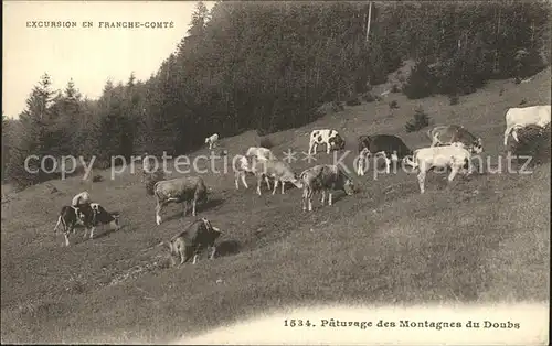 Besancon Doubs Paturage des Montagnes du Doubs Kat. Besancon