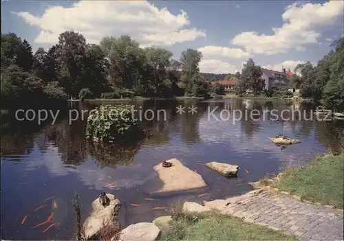 Braunlage Kurpark Kat. Braunlage Harz