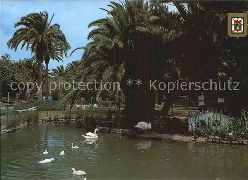 Maspalomas Jardin Oasis Kat. Gran Canaria Spanien