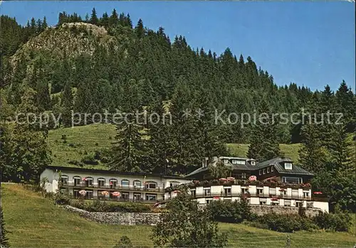 Bad Oberdorf Kurheim Alpenhof  Kat. Bad Hindelang