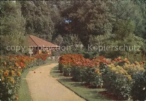 Landau Pfalz Dahliengarten im Tierpark Kat. Landau in der Pfalz