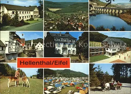Hellenthal Eifel Olefttalsperre Jugendherberge Wildfreigehge Campingplatz Kat. Hellenthal