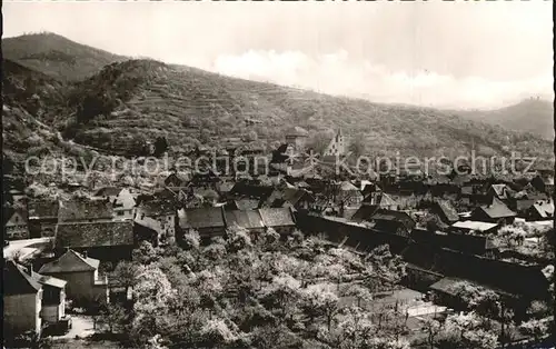 Zwingenberg Bergstrasse Panorama Kat. Zwingenberg