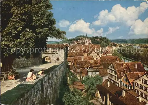 Tuebingen Schlosslinde Ansicht Kat. Tuebingen