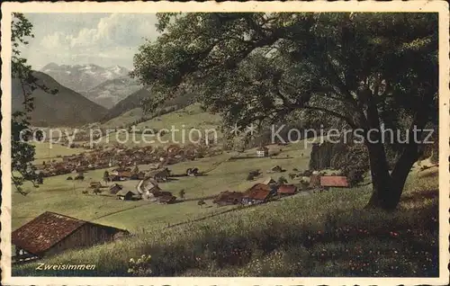 Zweisimmen Panorama Kat. Zweisimmen