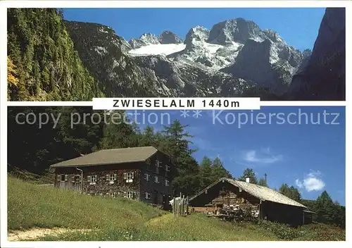 Gosau Oberoesterreich Zwieselalm Almwirtschaft Kat. Gosau Salzkammergut