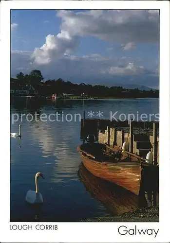 Galway Galway Lough Corrib Schwaene Bootssteg Kat. Galway