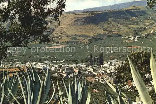 Arucas Gran Canaria Panorama Kakteen Kat. 