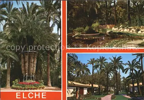 Elche Palmen Ferienanlage Teich Kat. Elche