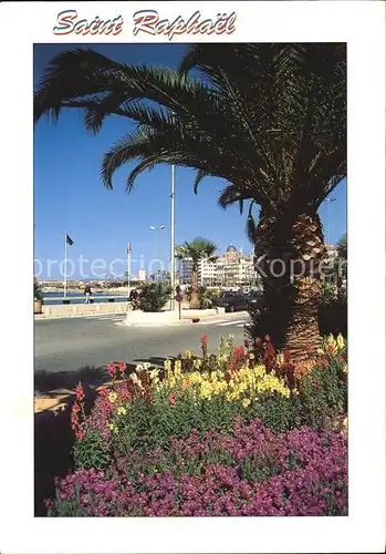 Saint Raphael Var Blumen Palmen Uferstrasse Cote d Azur Kat. Saint Raphael