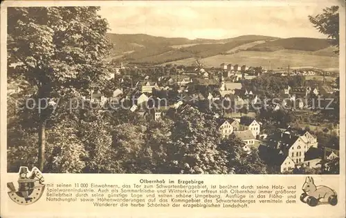 Olbernhau Erzgebirge Panorama Kat. Olbernhau