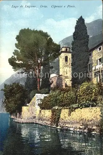 Oria Lago di Lugano Cipressi e Pinia Kat. Lugano