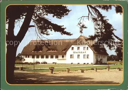 Trassenheide Usedom Waldhof Kat. Trassenheide