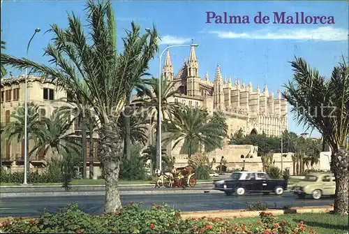 Palma de Mallorca Kathedrale Kat. Palma de Mallorca