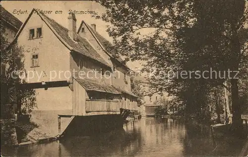 Erfurt Haeuser Daemmchen Kat. Erfurt