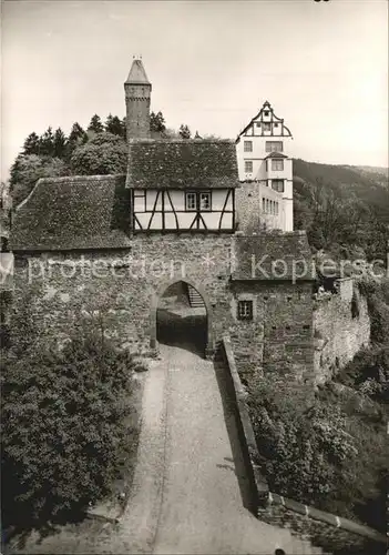 Hirschhorn Neckar Schloss Hotel mit Burg Kat. Hirschhorn (Neckar)