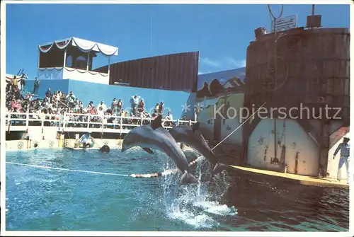 Redwood City Marine World Africa Dolphins Kat. Redwood City