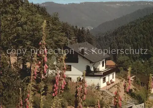 Lauterbach Schwarzwald Haus Sonnenschein Luftkurort Kat. Lauterbach