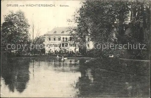 Waechtersbach Schloss Schwanenteich Kat. Waechtersbach