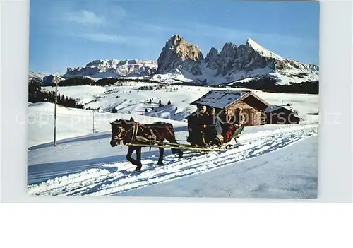 Alpe di Siusi Il Sassolungo Langkofel Schlittenfahrt Kat. Seiser Alm Dolomiten