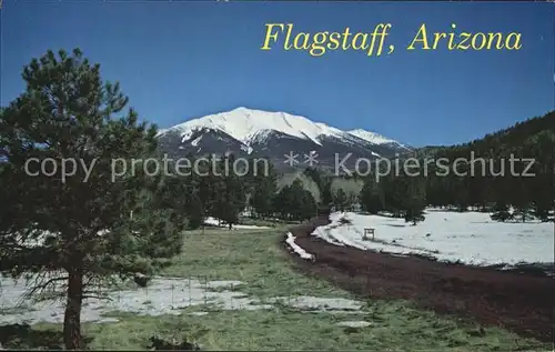 Flagstaff Arizona San Francisco Peaks  Kat. Flagstaff