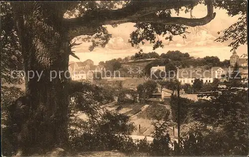 Falkenberg Mark Alter Baum Ortsansicht mit Kirche Luftkurort Kat. Falkenberg Mark