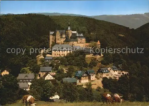 Lauenstein Oberfranken Schlosspartie Kat. Ludwigsstadt