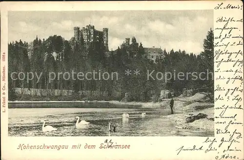 Hohenschwangau Schwansee Schwaene Schloss Kat. Schwangau