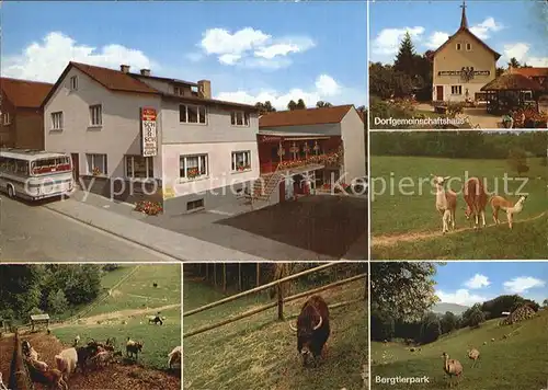 Erlenbach Bergstrasse Gaststaette Schorsch Dorfgemeinschaftshaus Bergtierpark Kat. Fuerth