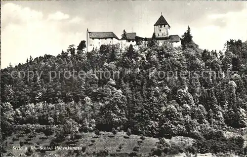 Stein Rhein Schloss Hohenklingen Kat. Stein Rhein