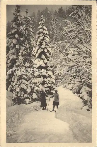 Urnaesch AR Winterpanorama Skilaeufer Waldpartie Kat. Urnaesch